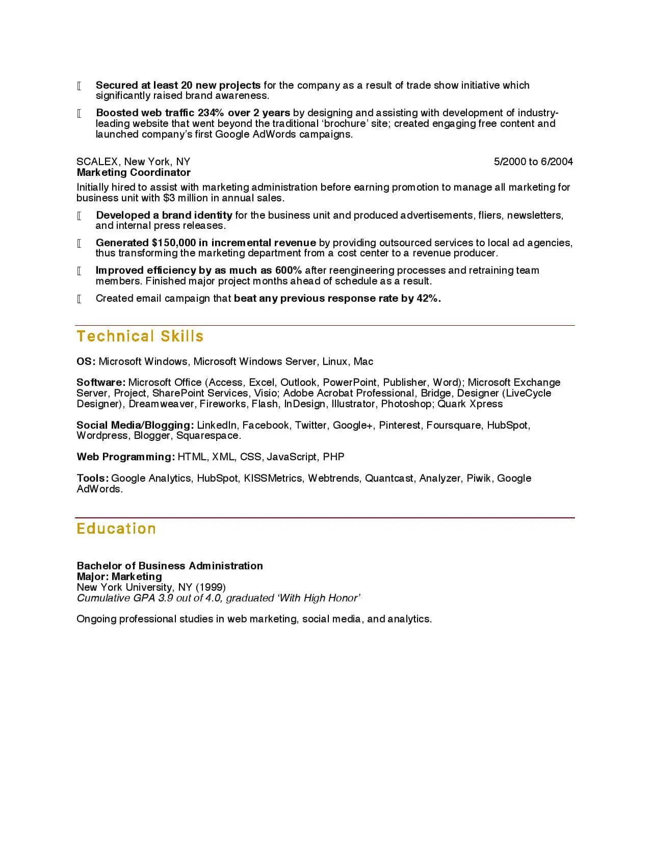 Professional blogger resume