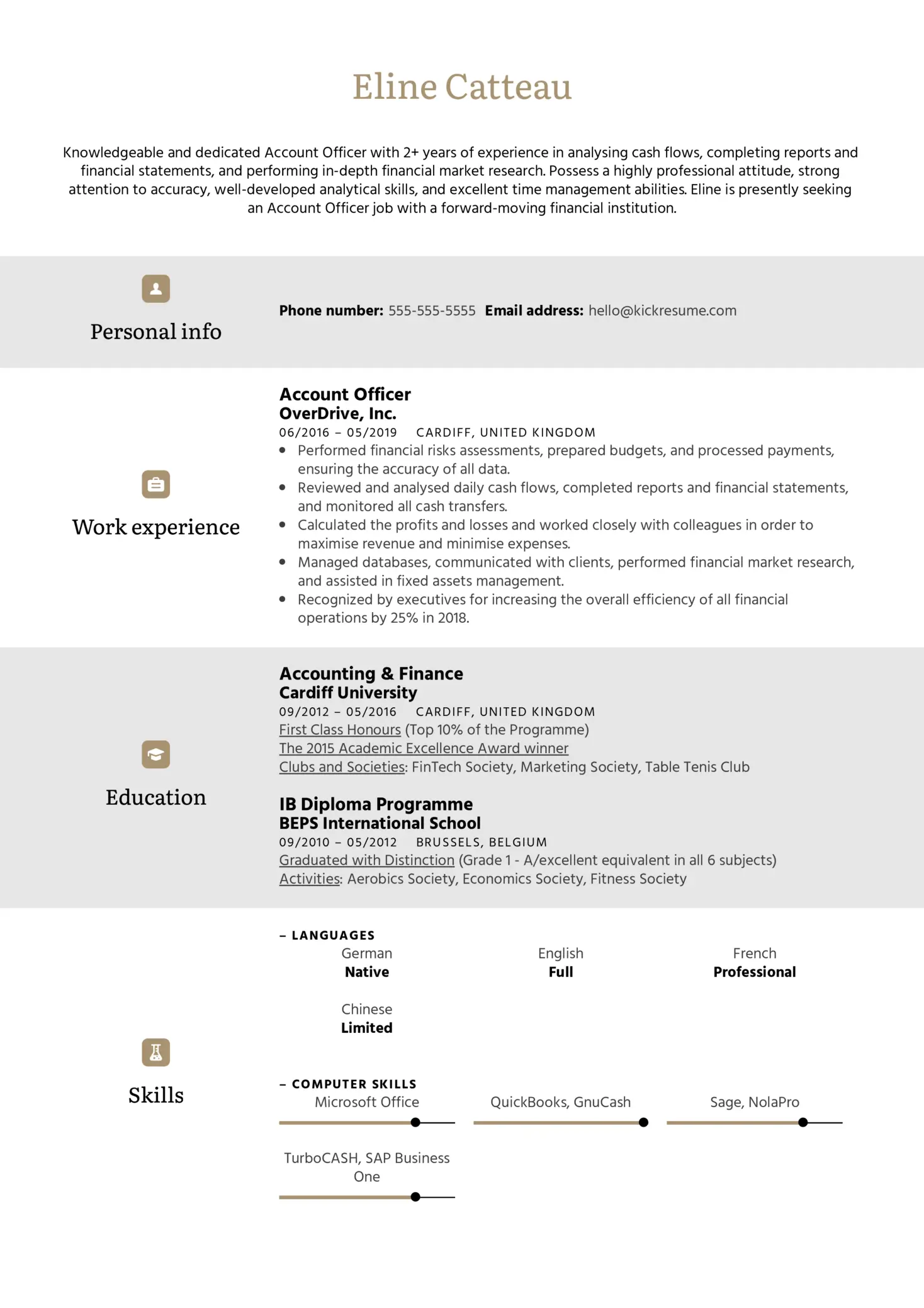 account officer resume