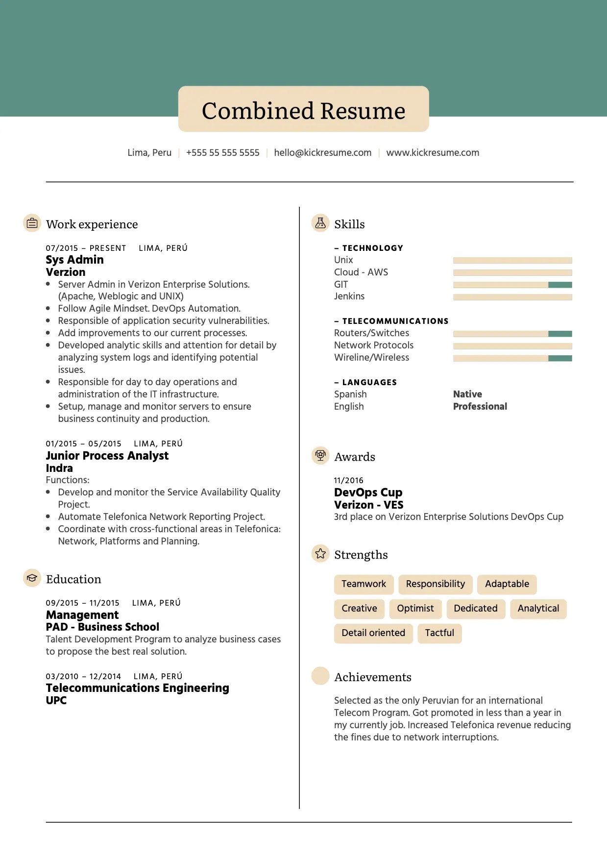 combined resume format