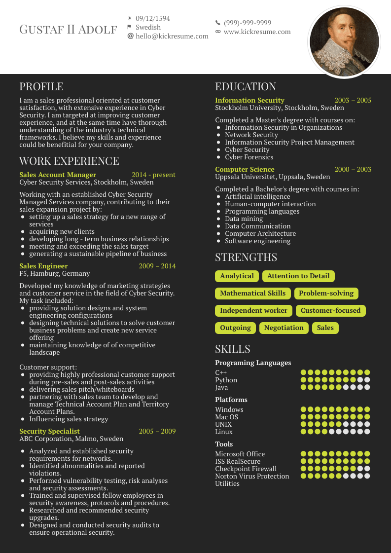 Account Manager Resume Sample