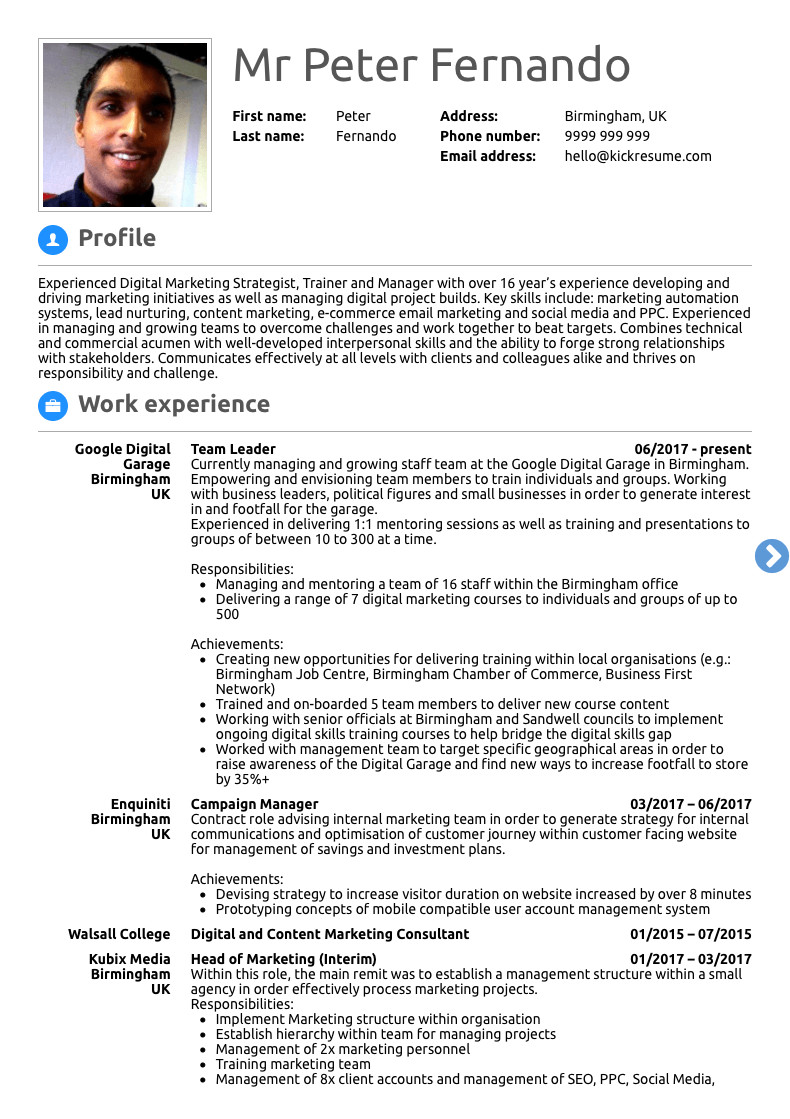 resume summary examples for online marketing