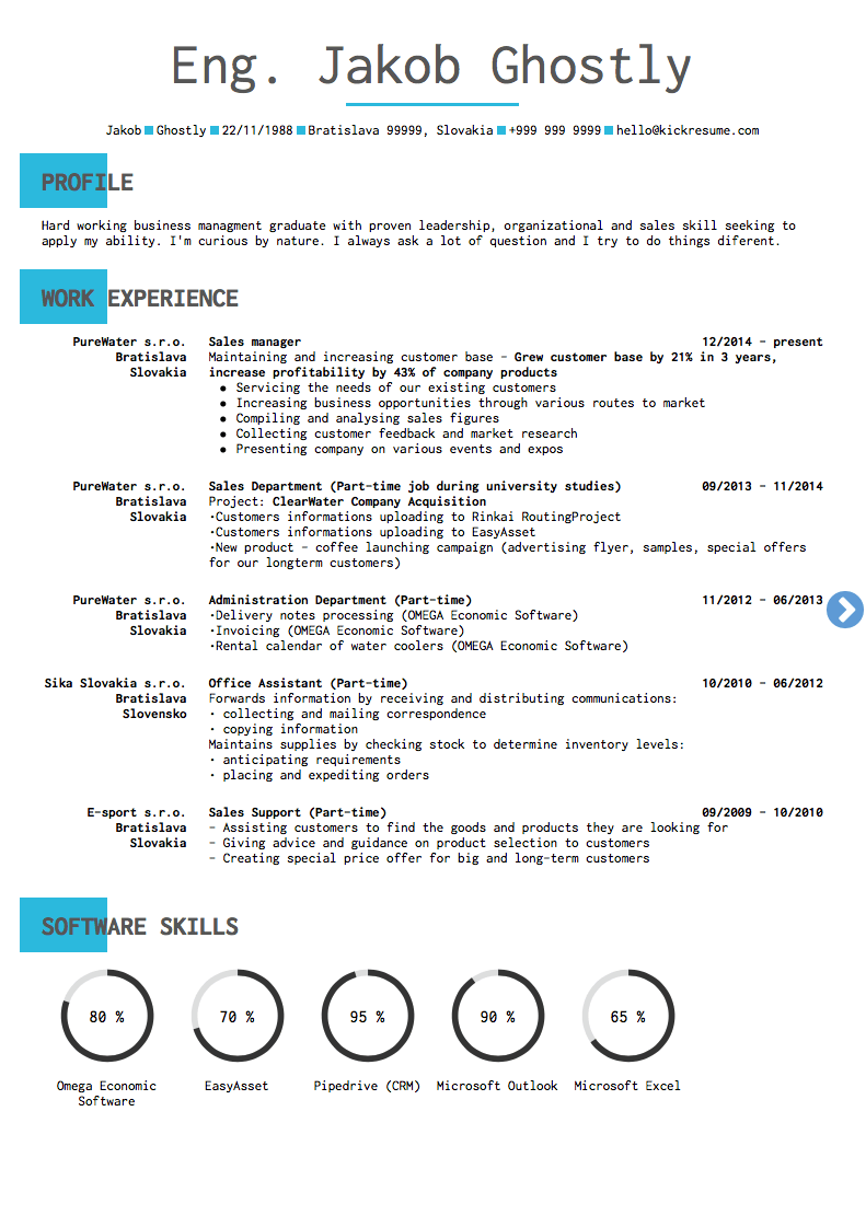 Dell GCP Program Manager Resume Example