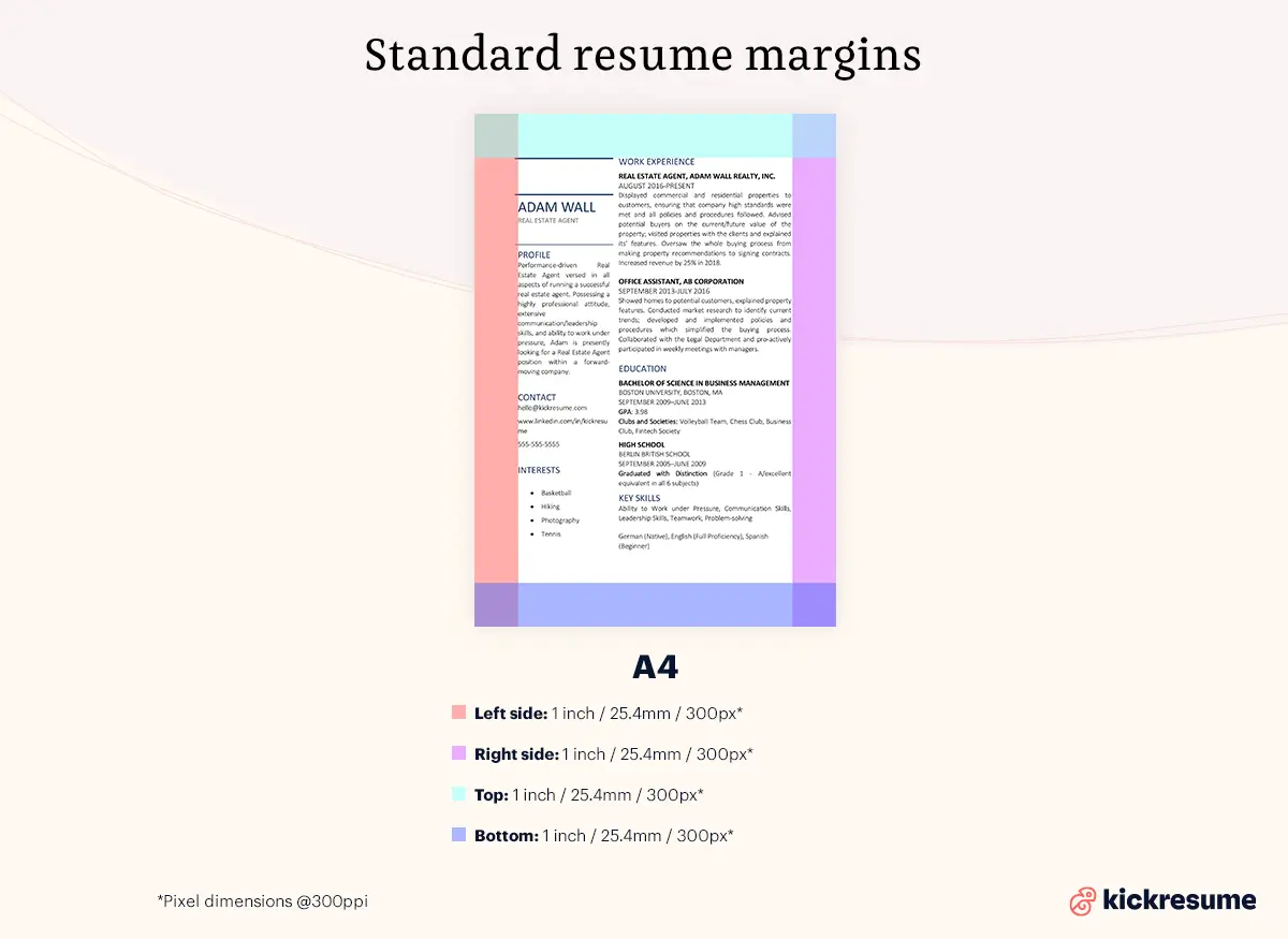 standard resume margins