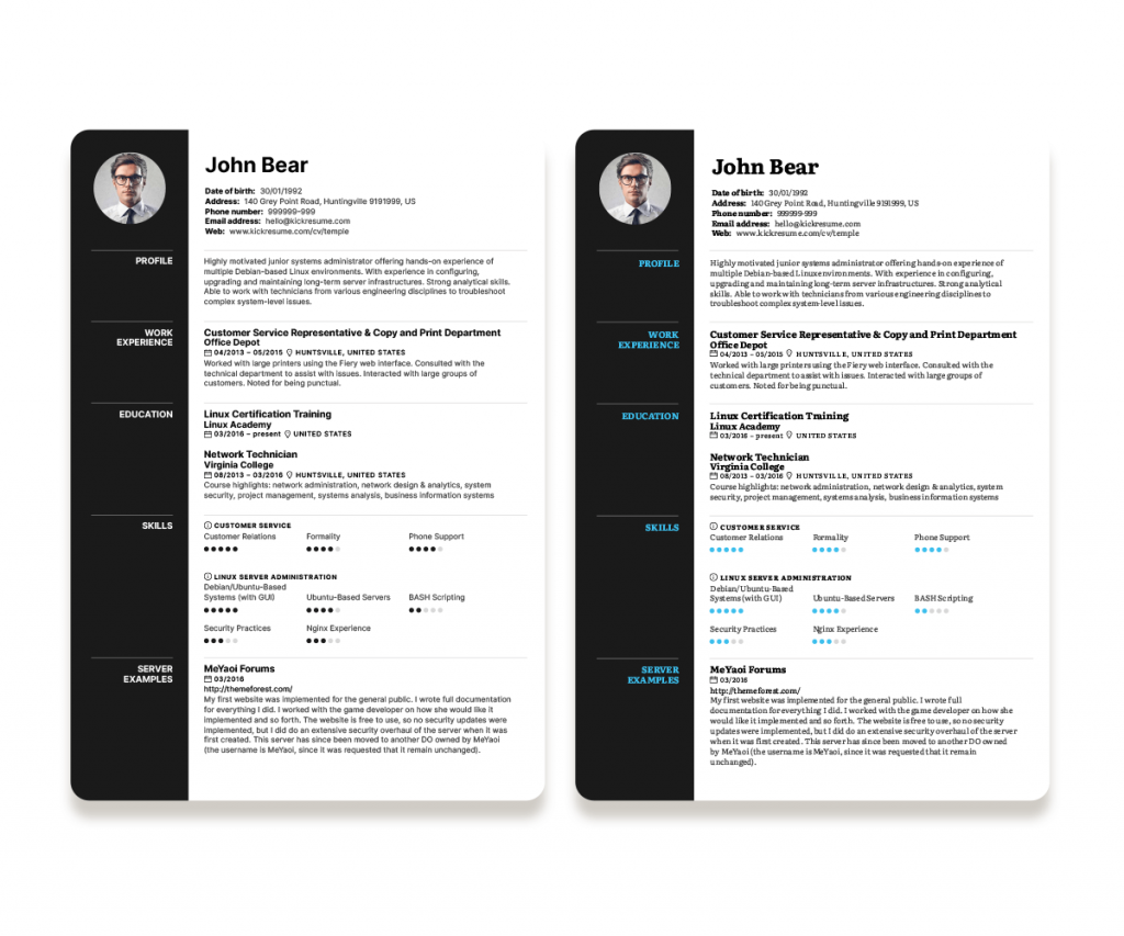 Ladder Minimalistic Resume Templates